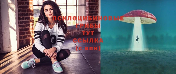 а пвп мука Верхний Тагил